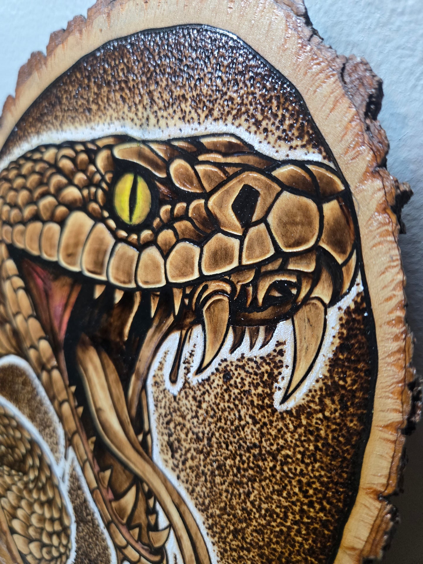Snake Woodburning