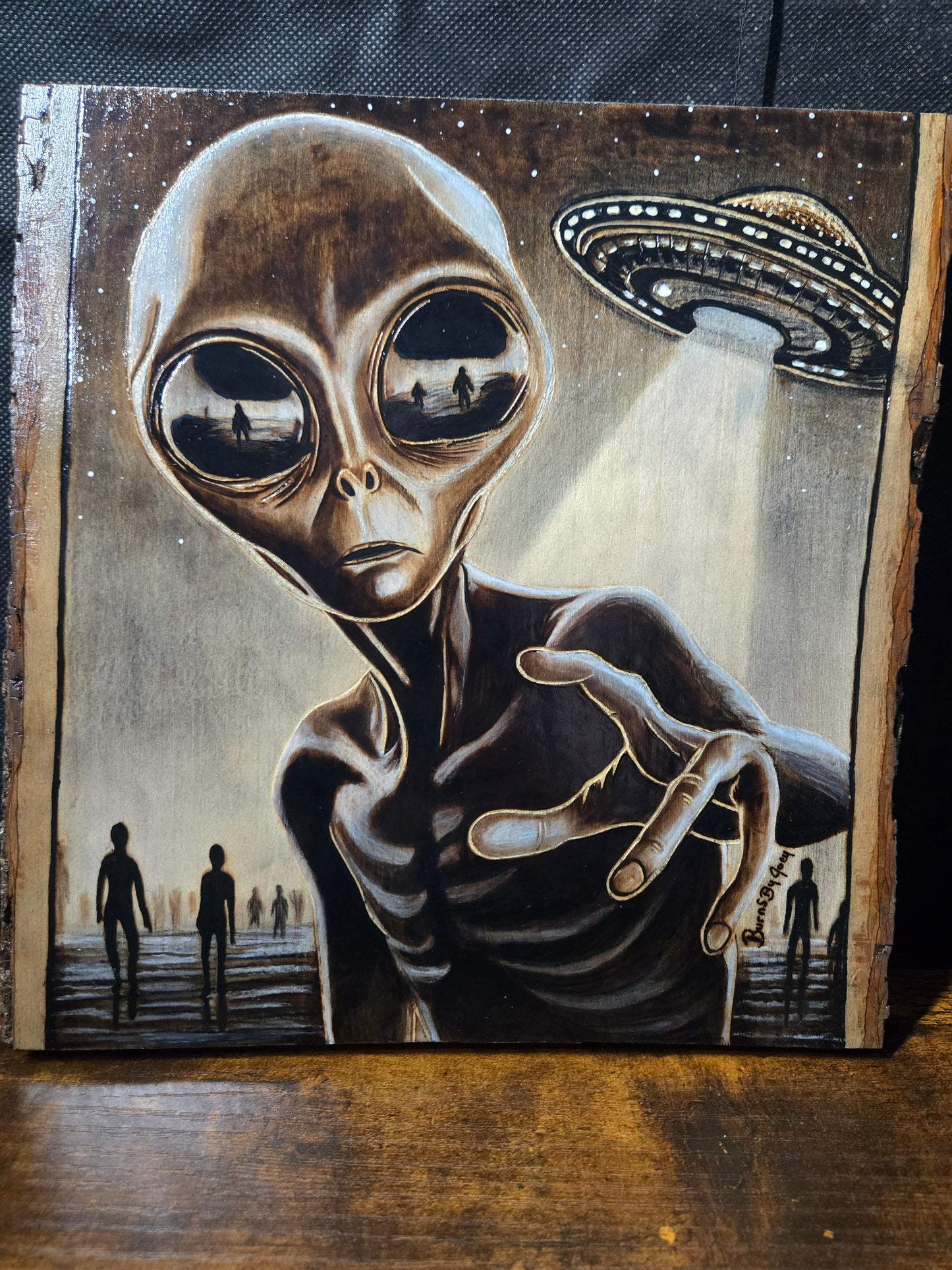 "The Witness" Alien Woodburning