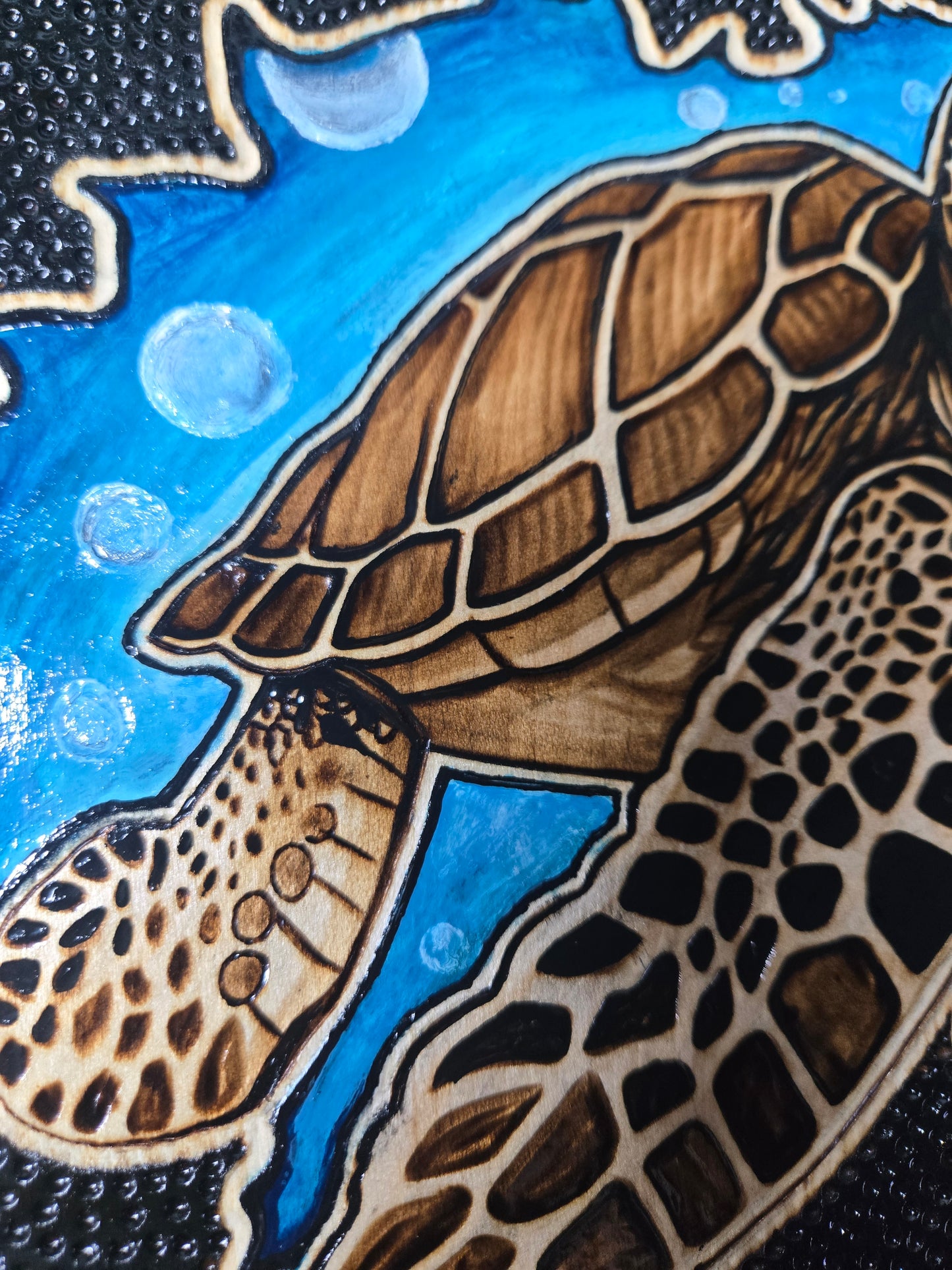Sea Turtle Woodburning