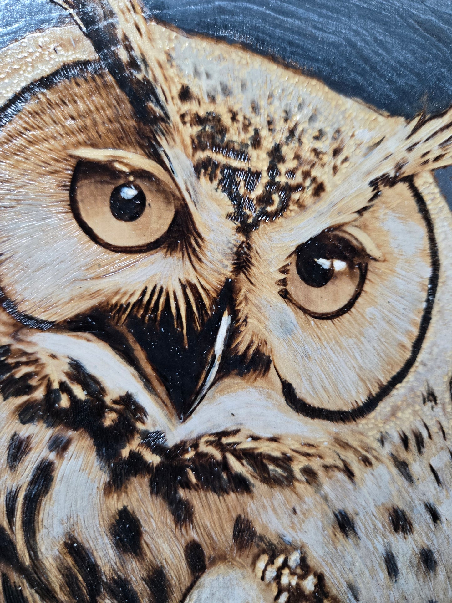 Midnight Owl Woodburning