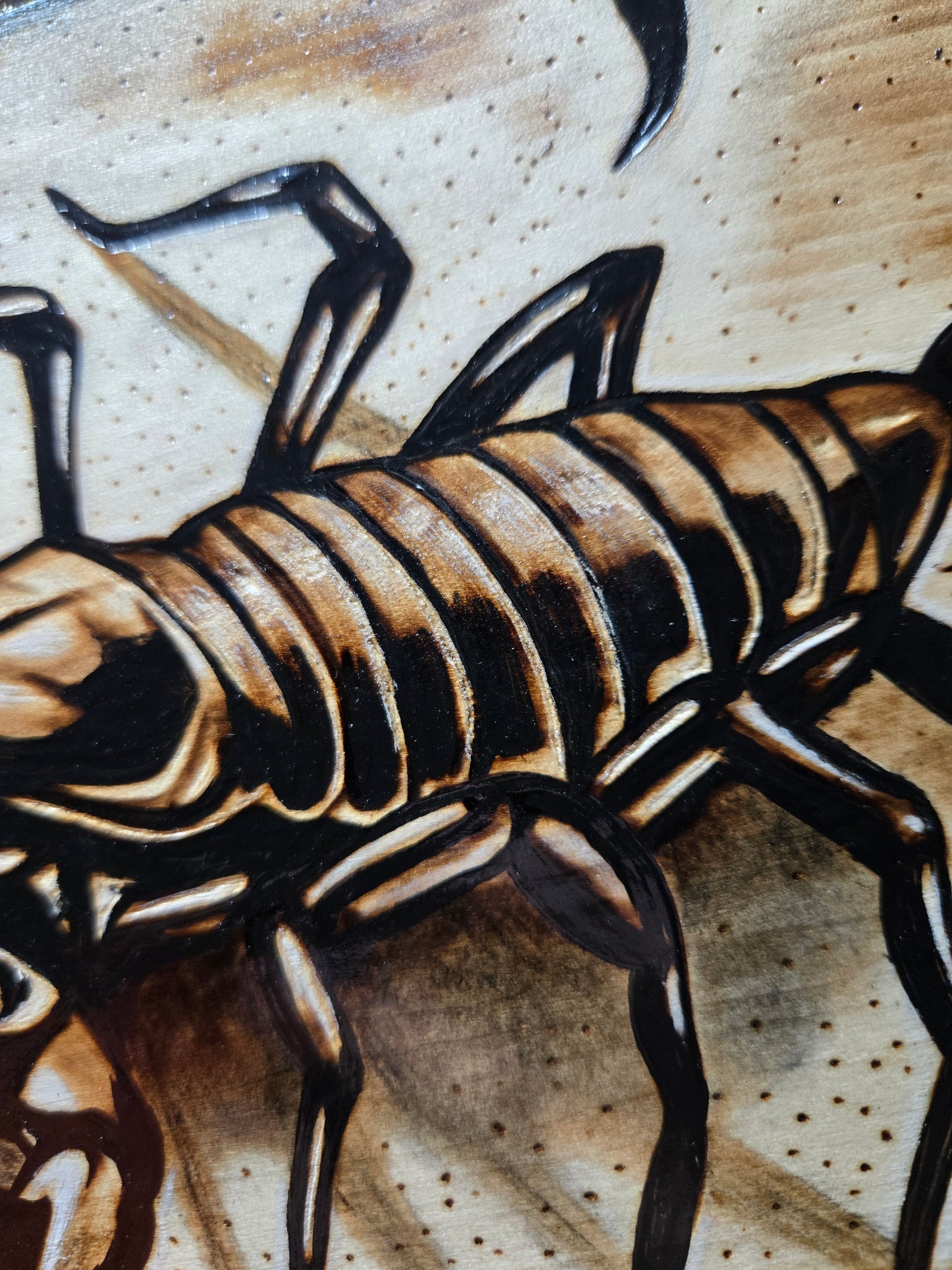 Scorpion Woodburning