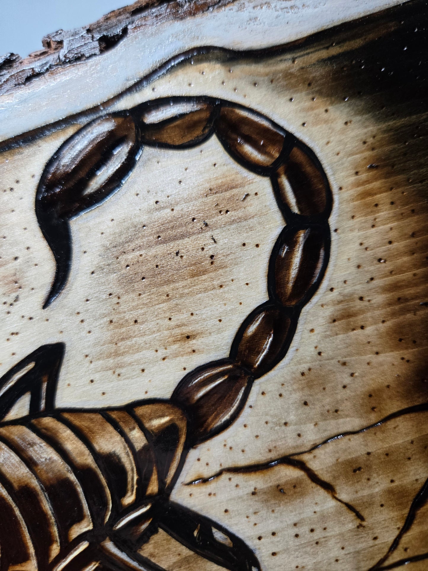 Scorpion Woodburning