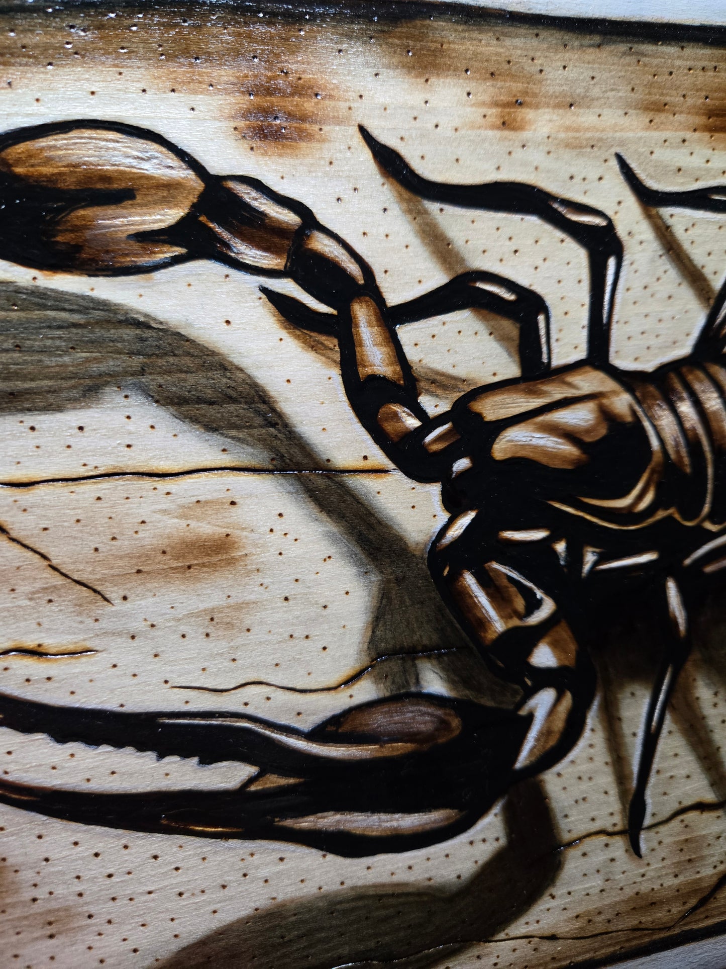 Scorpion Woodburning
