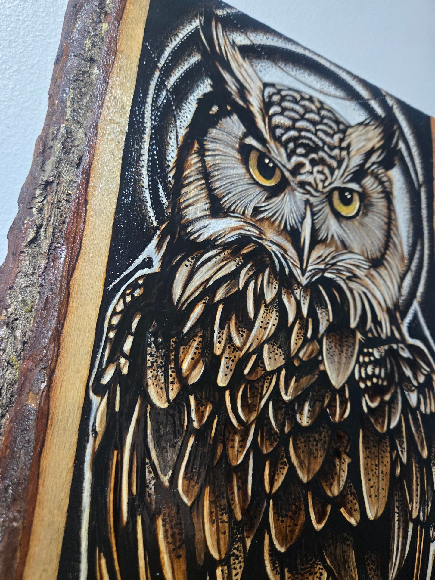 Owl Guardian – Original Woodburn Art