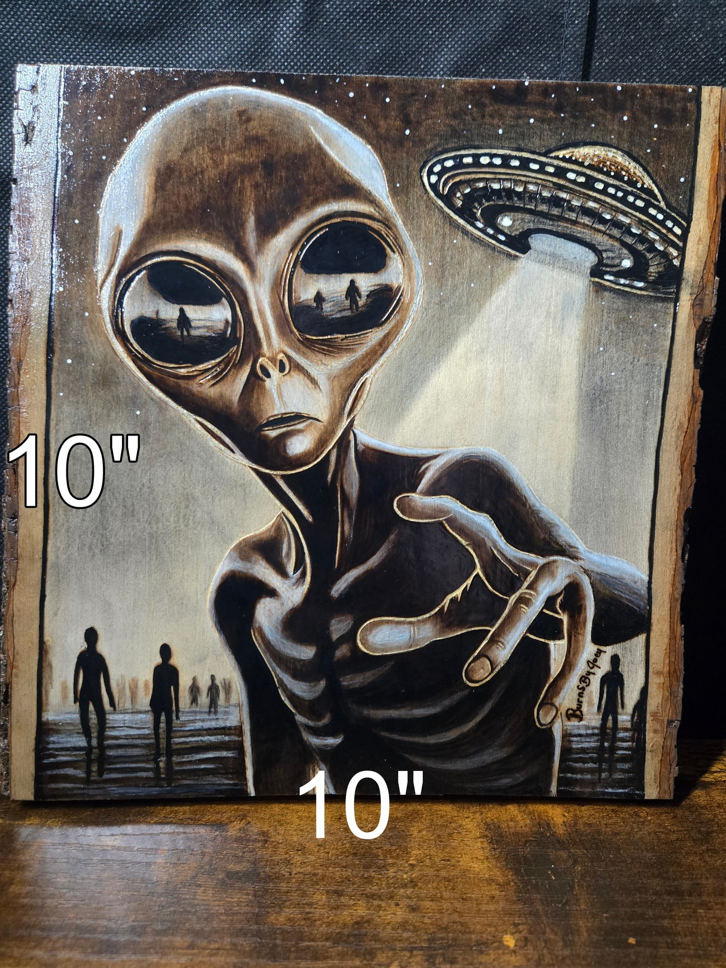 "The Witness" Alien Woodburning