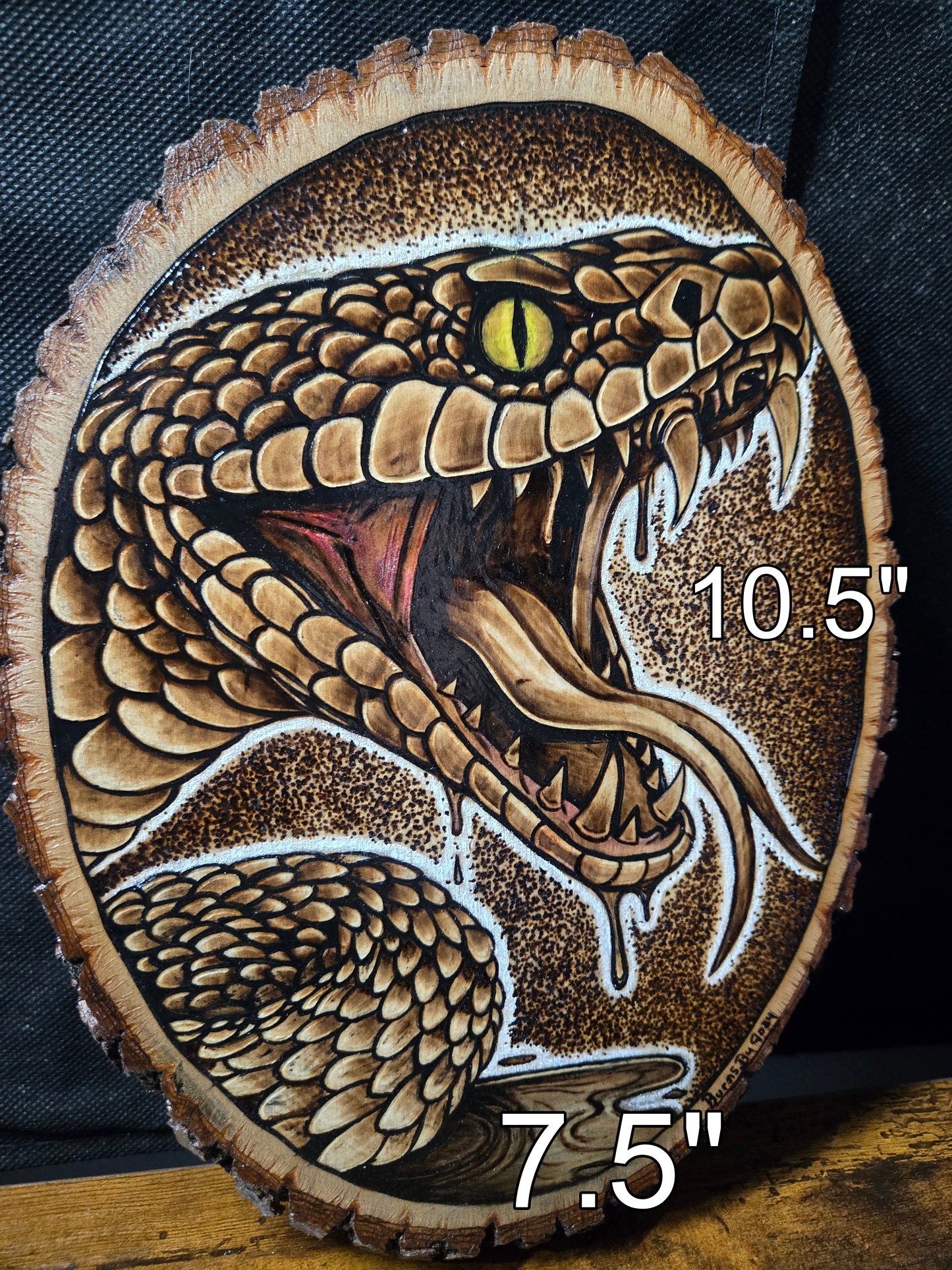 Snake Woodburning