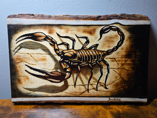 Scorpion Woodburning